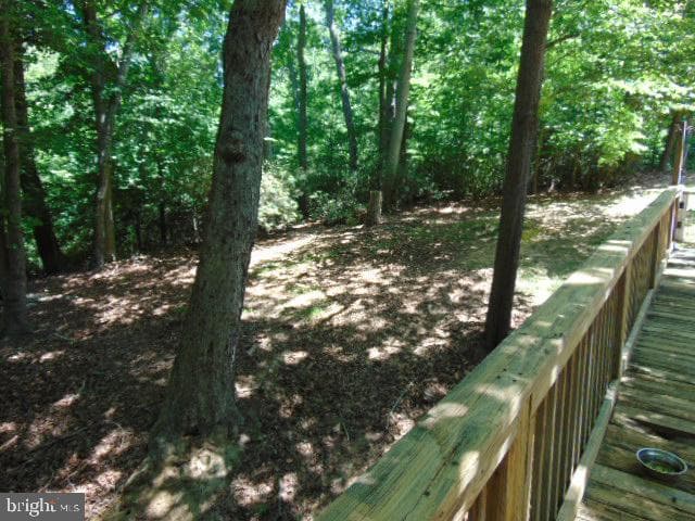12466 Dalton Trl photo 39