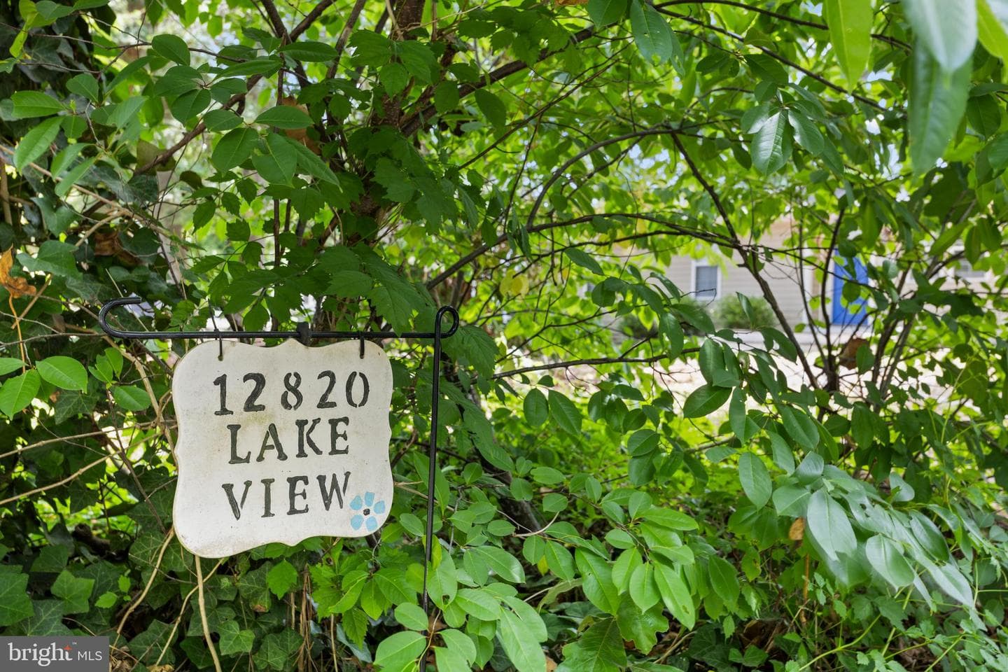 12820 Lake View Drive photo 62