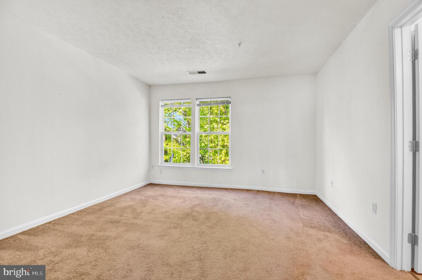 8036 Silver Fox Way photo 13