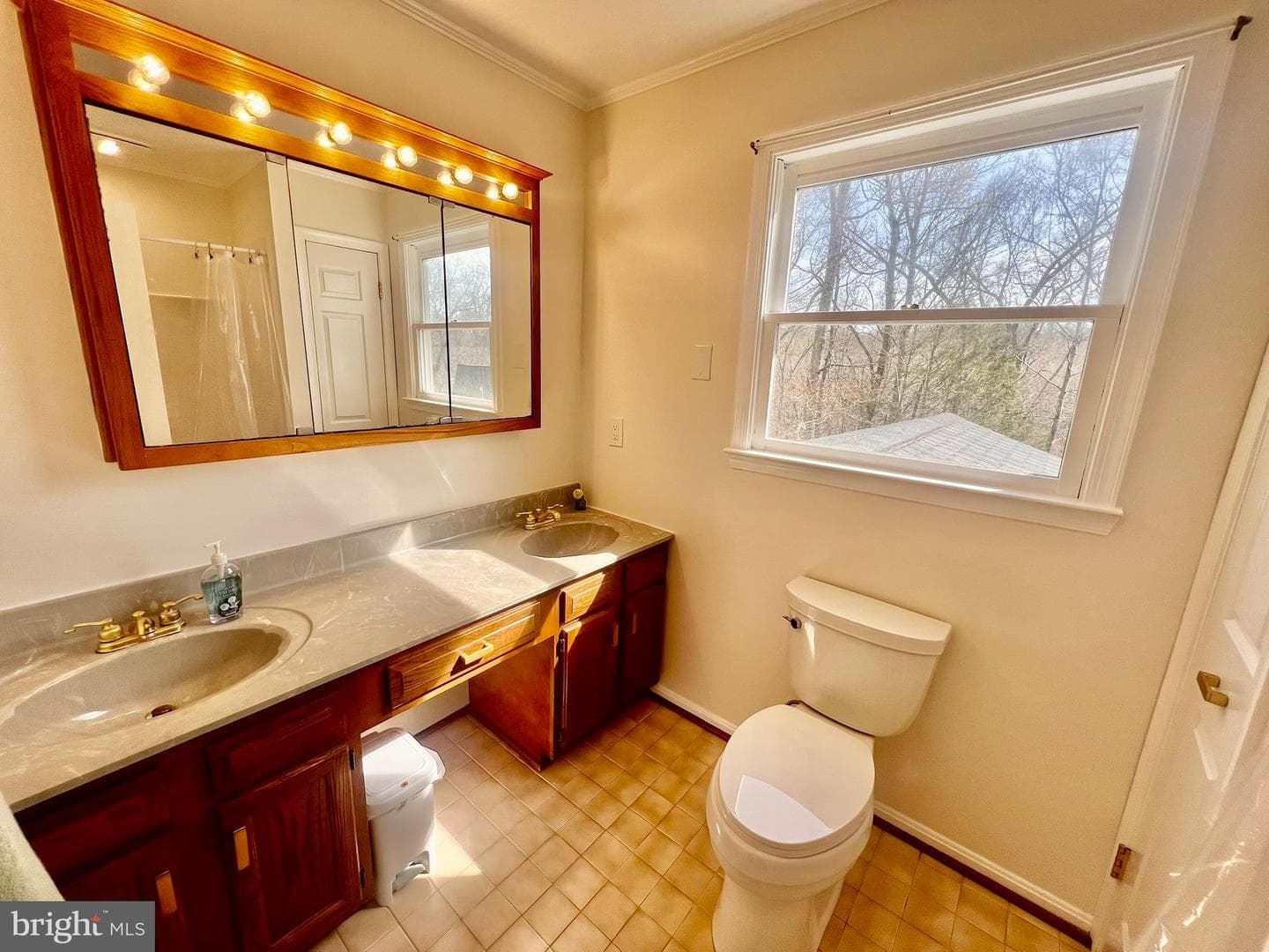 8200 Frances Lane photo 45