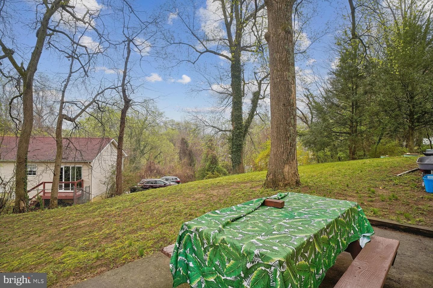 3906 Chesapeake Avenue photo 37