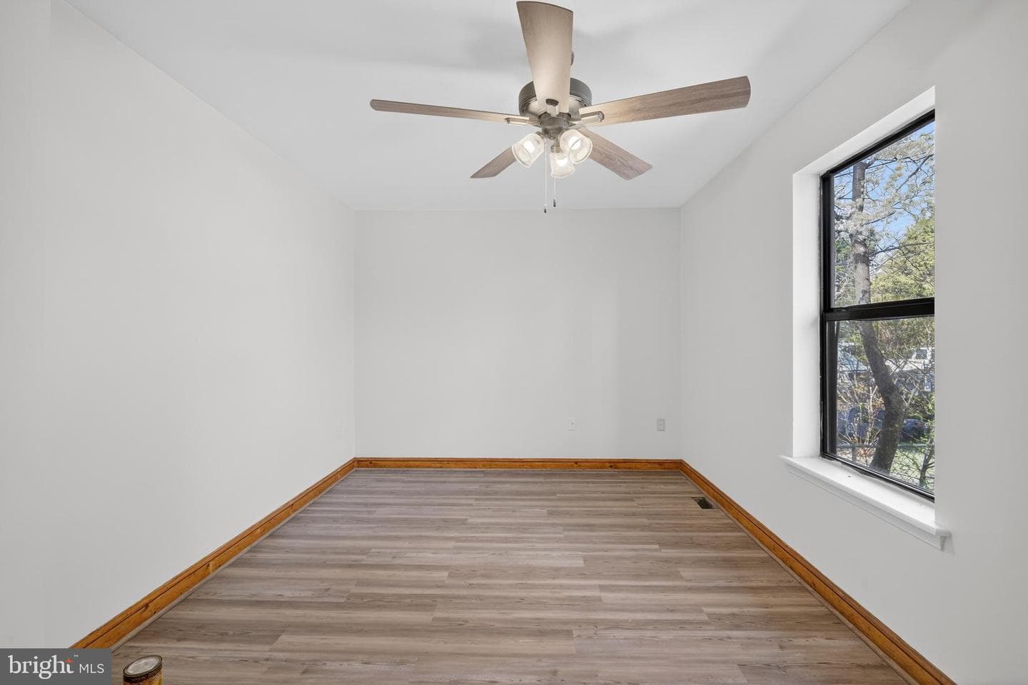 4037 1st Street photo 17