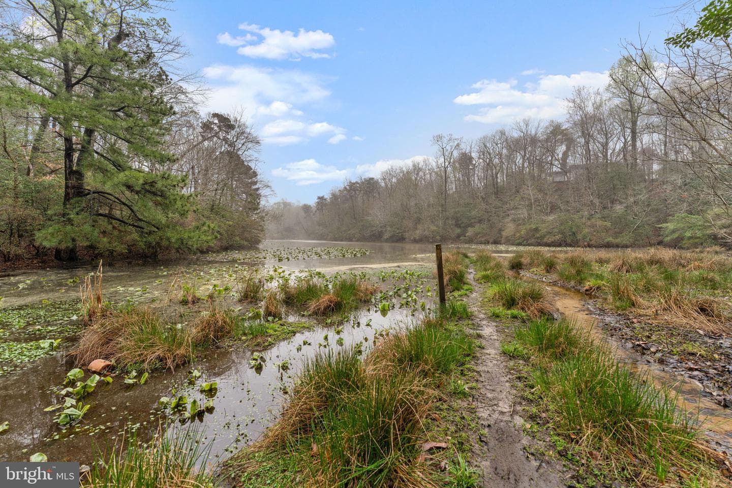 11492 Rawhide Rd photo 62