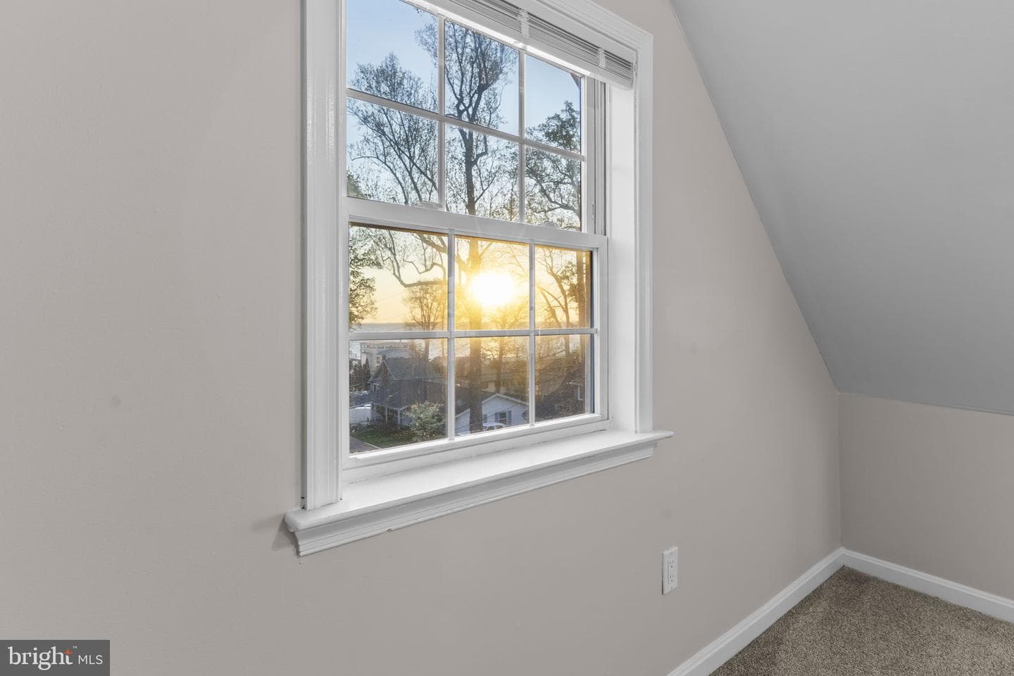 1524 Dogwood Road photo 60