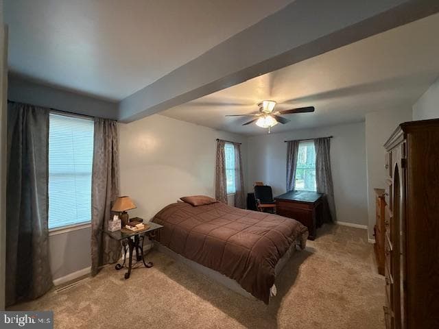 259 Sachem Drive photo 17