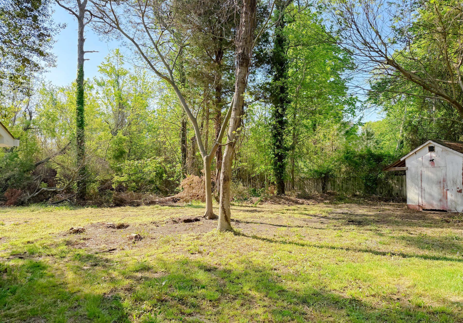 10955 Elm Drive photo 41