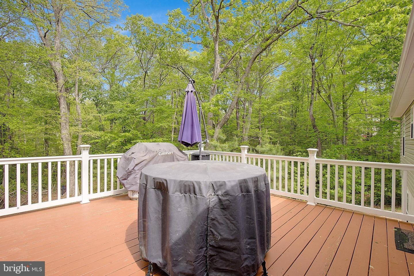 12486 Coyote Court photo 37