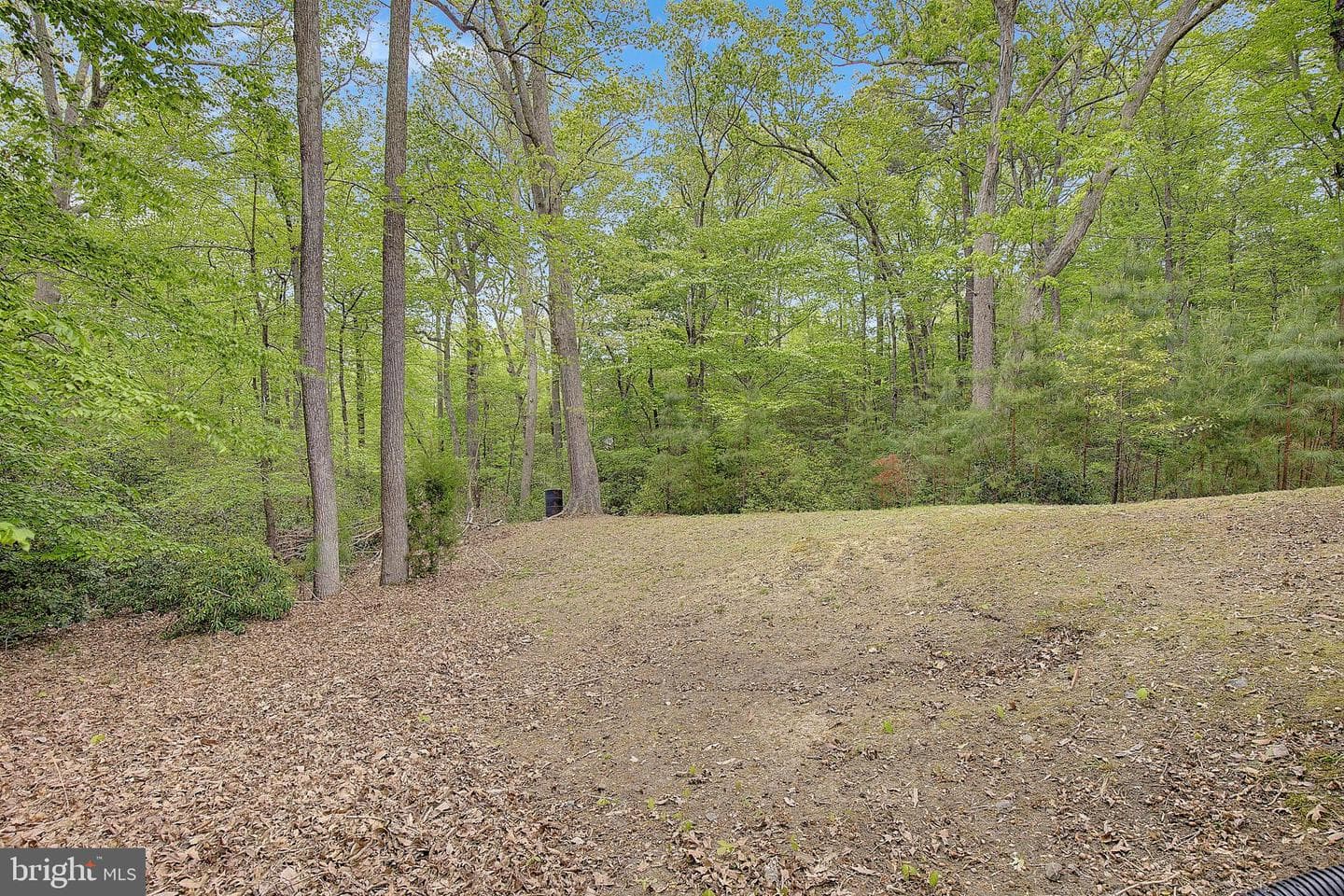 12486 Coyote Court photo 42