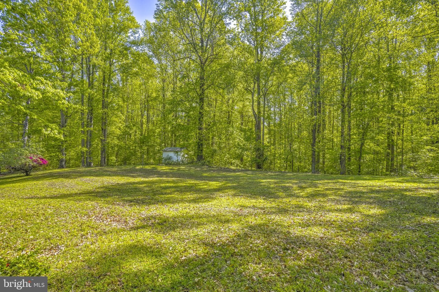2310 Dalrymple Road photo 11