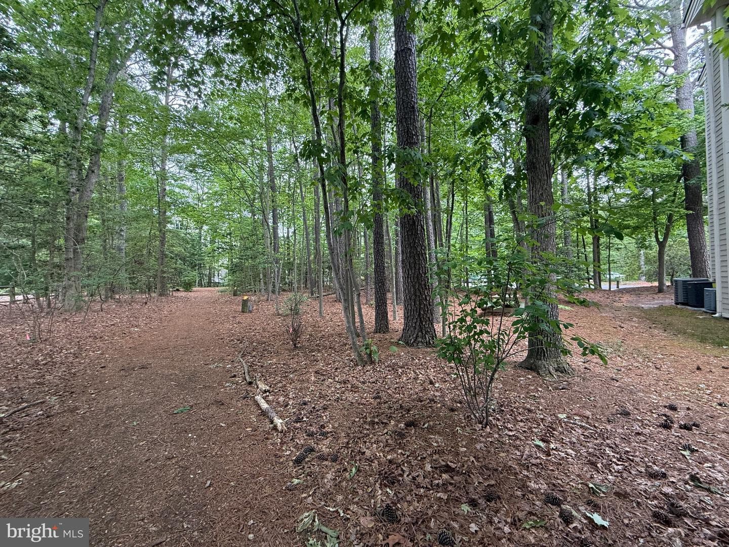 1106 Back Creek Loop #1106 photo 31