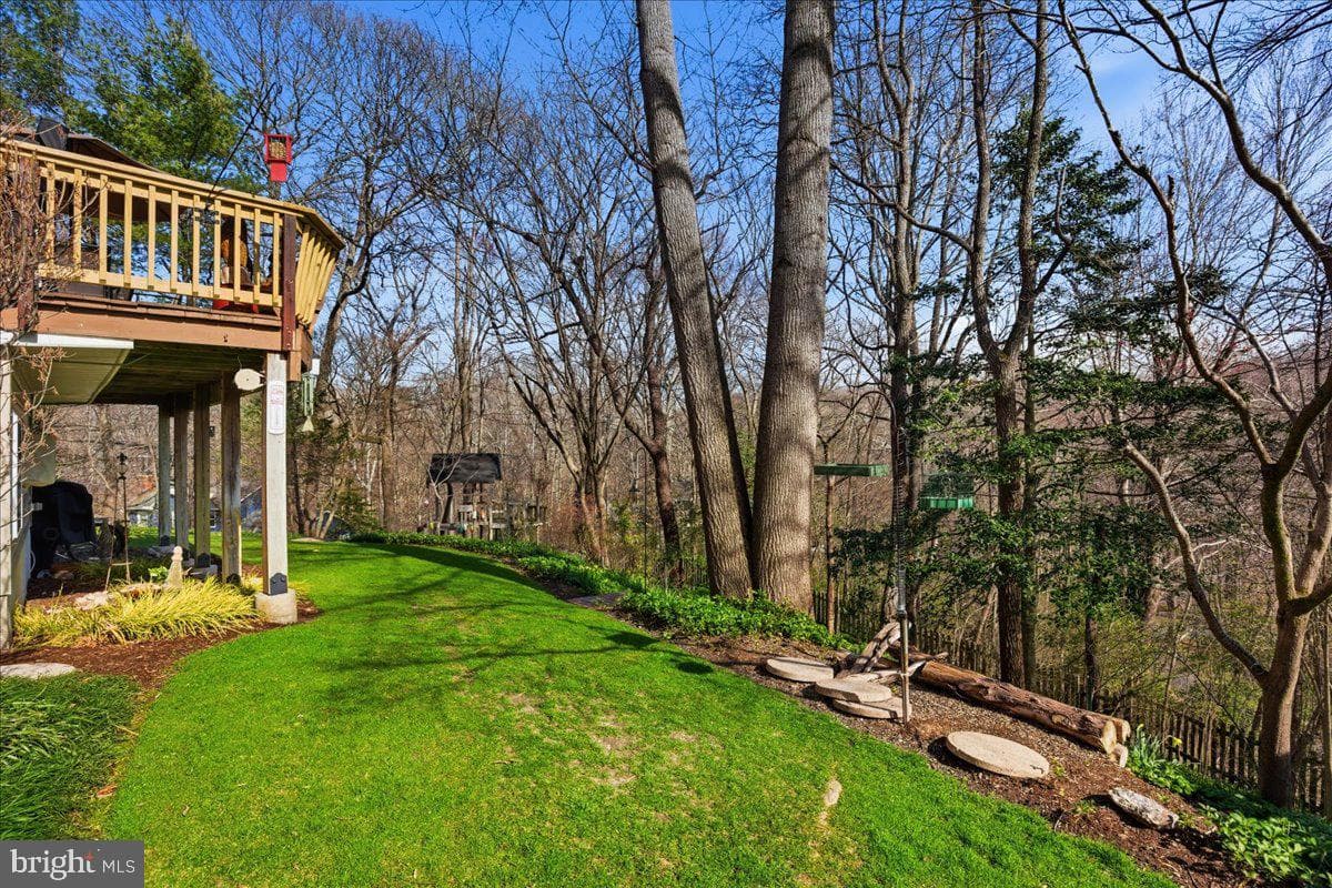 300 Owings Hill Court photo 50