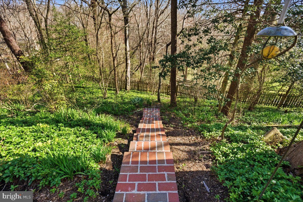 300 Owings Hill Court photo 51