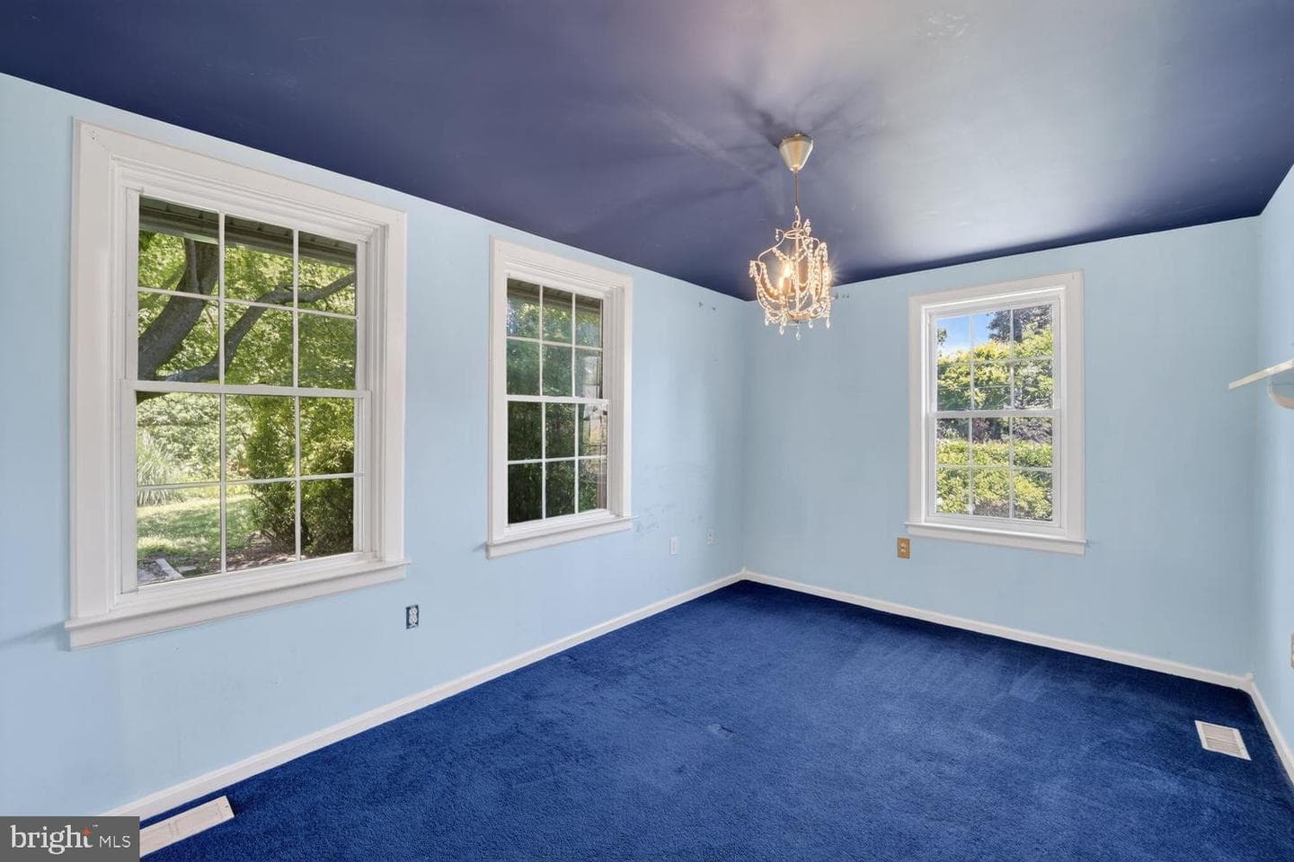 3907 3rd Street photo 22