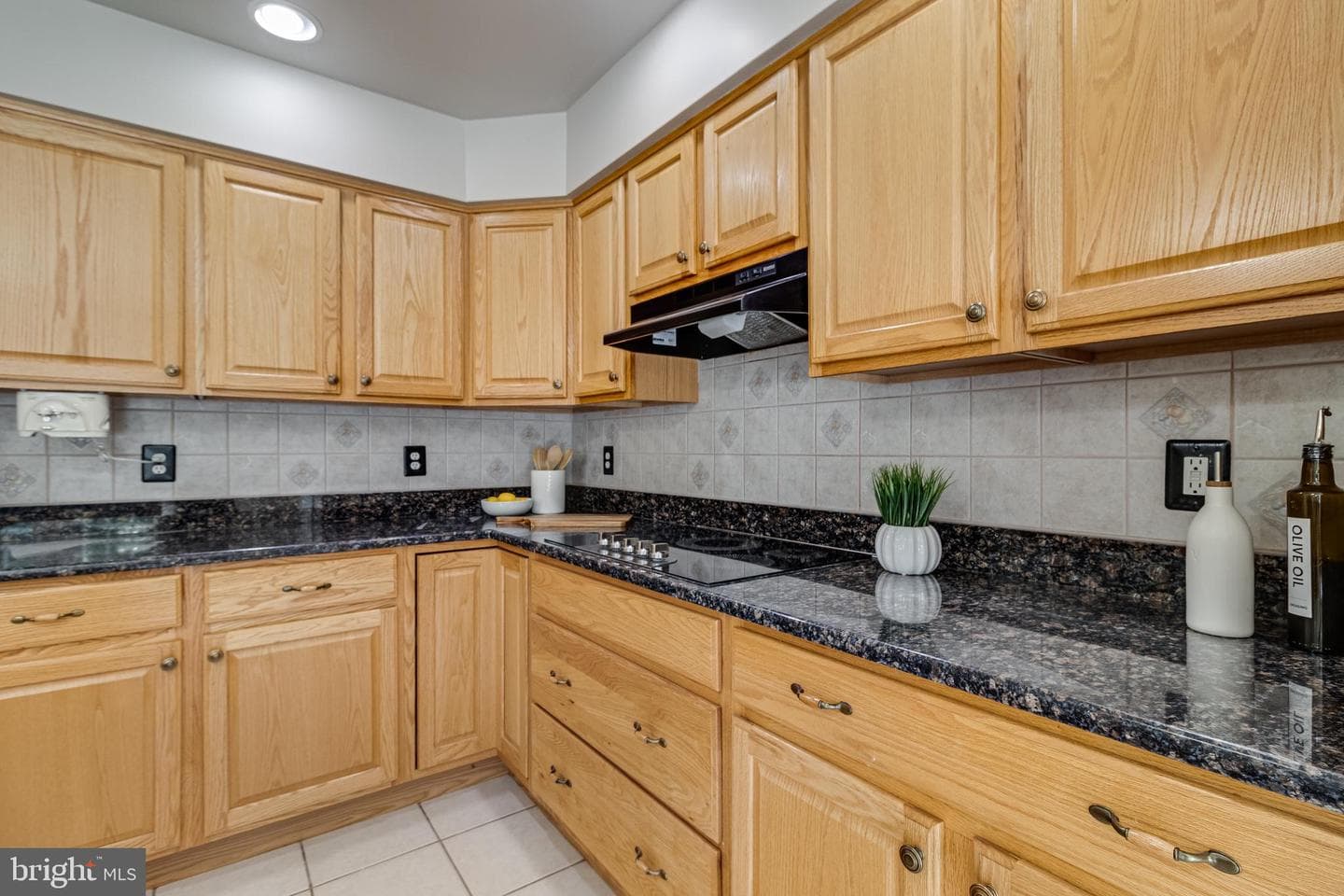 12310 Longleaf Lane photo 10
