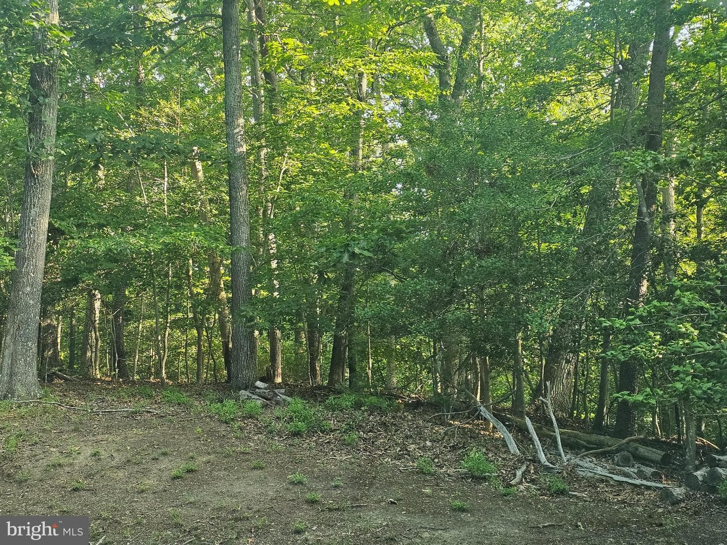 491 Redwood Lane photo 52