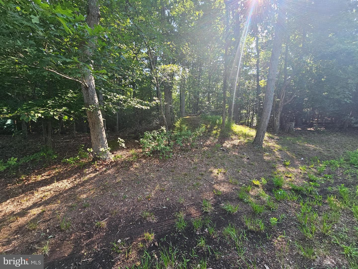 491 Redwood Lane photo 55