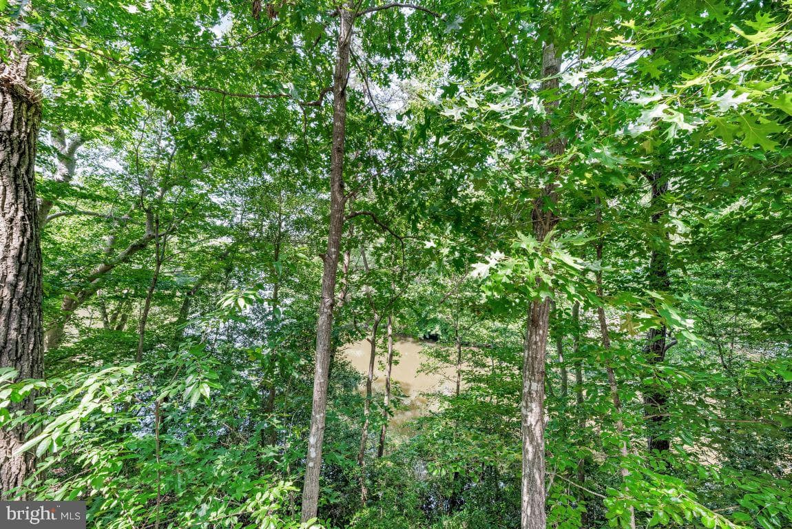 11639 Sidewinder Lane photo 9
