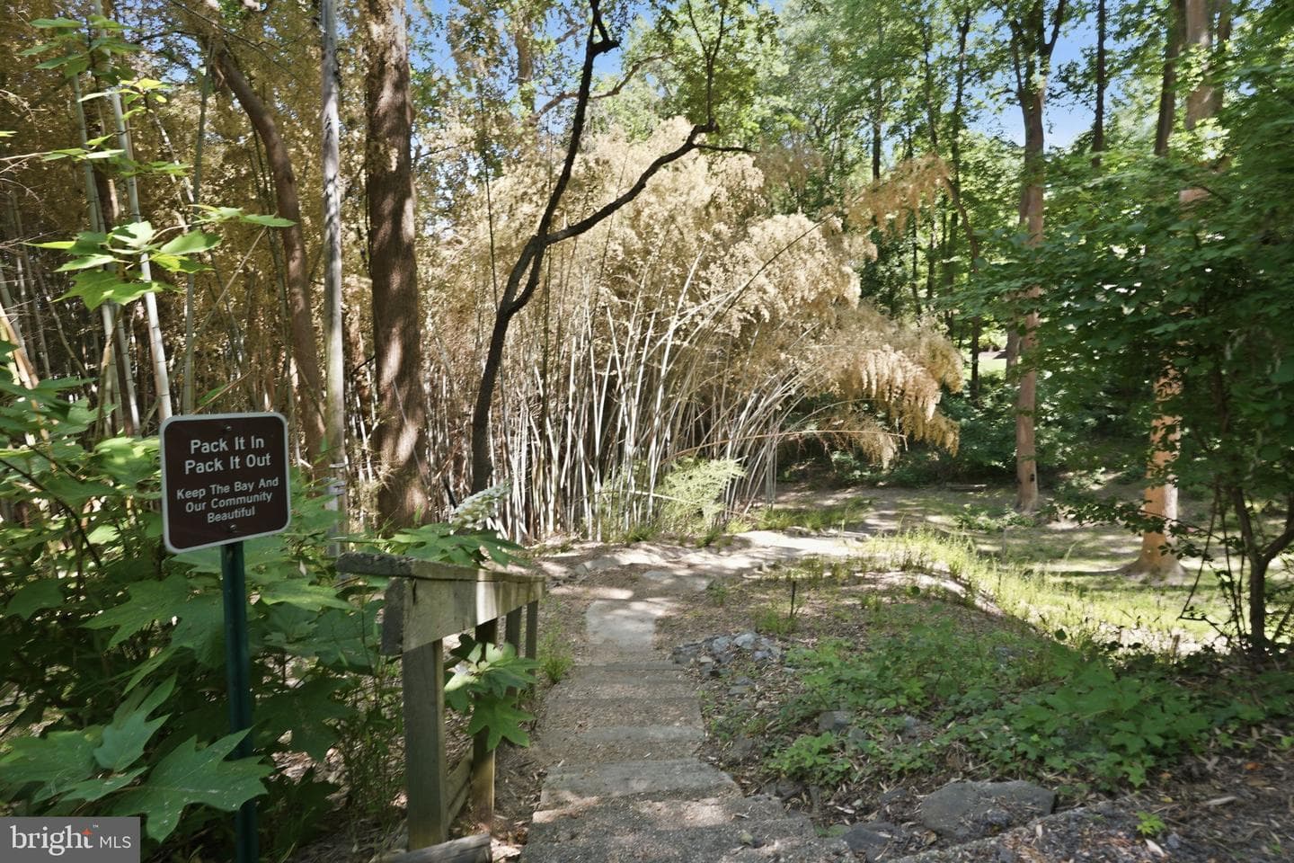 4010 Beach Drive photo 28