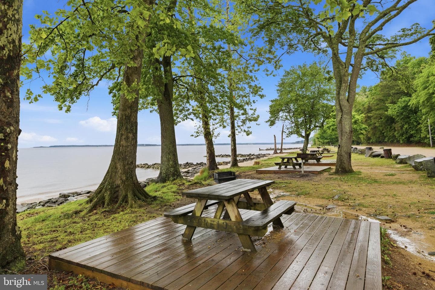 12346 Algonquin Trail photo 45