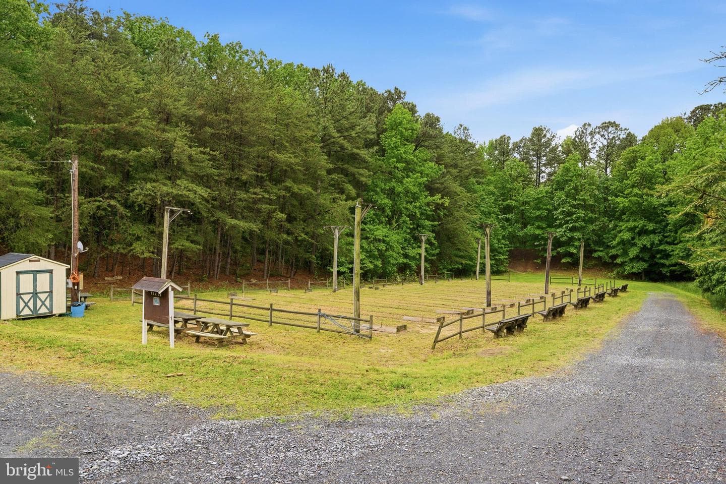 12346 Algonquin Trail photo 51