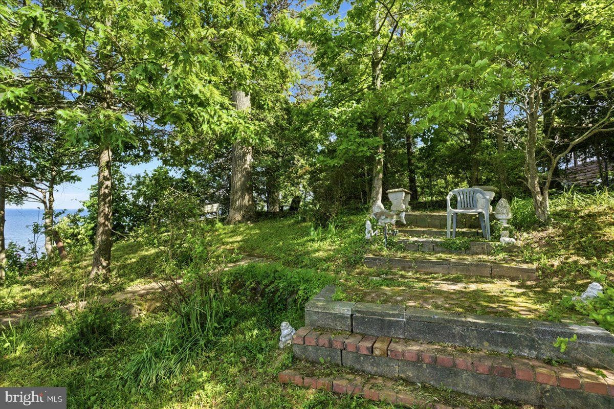 2311 Acacia Road photo 15