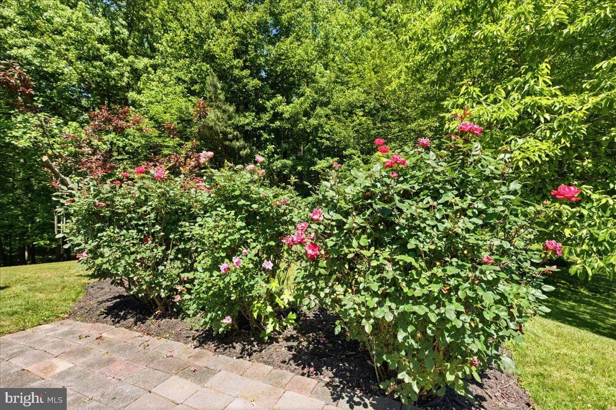 2424 Springbrook Court photo 90