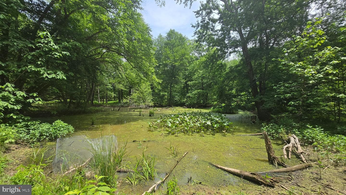 2025 Lower Marlboro Road photo 29