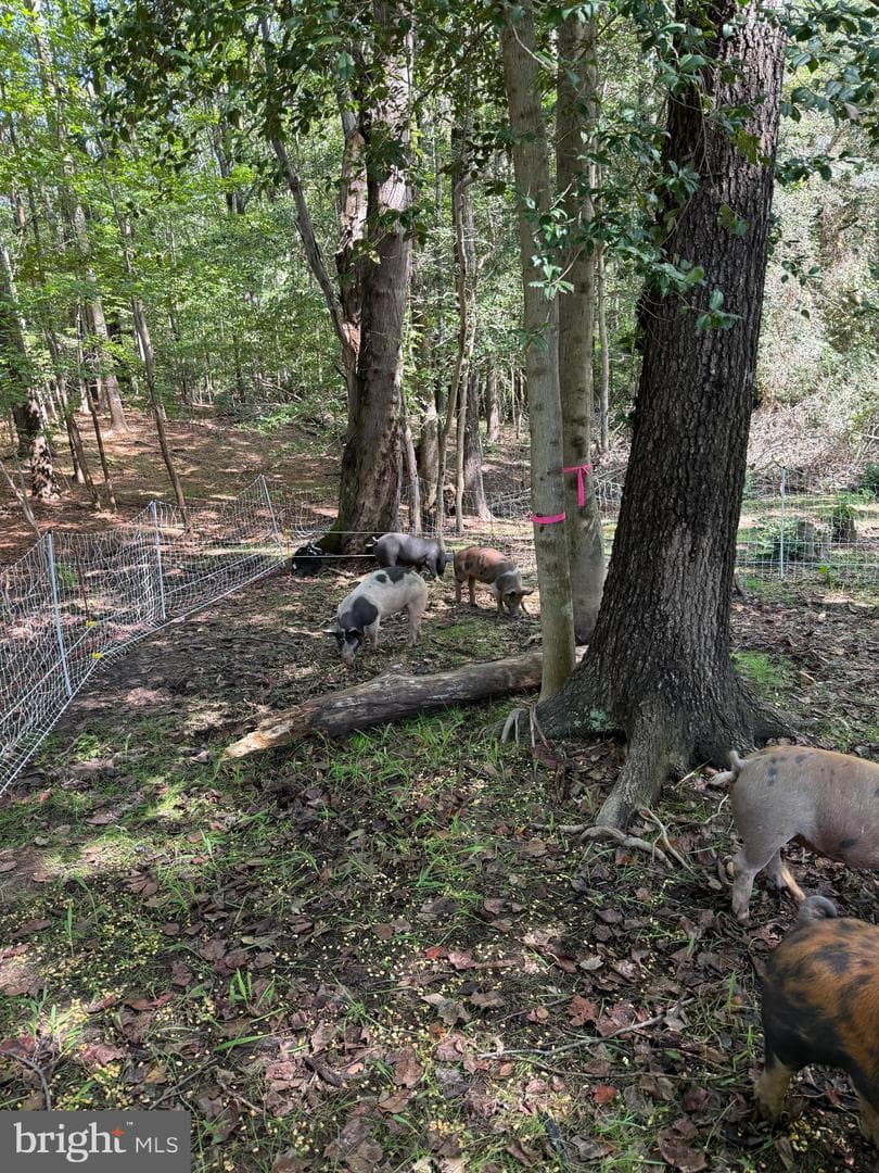 11450 Little Cove Point Road photo 57