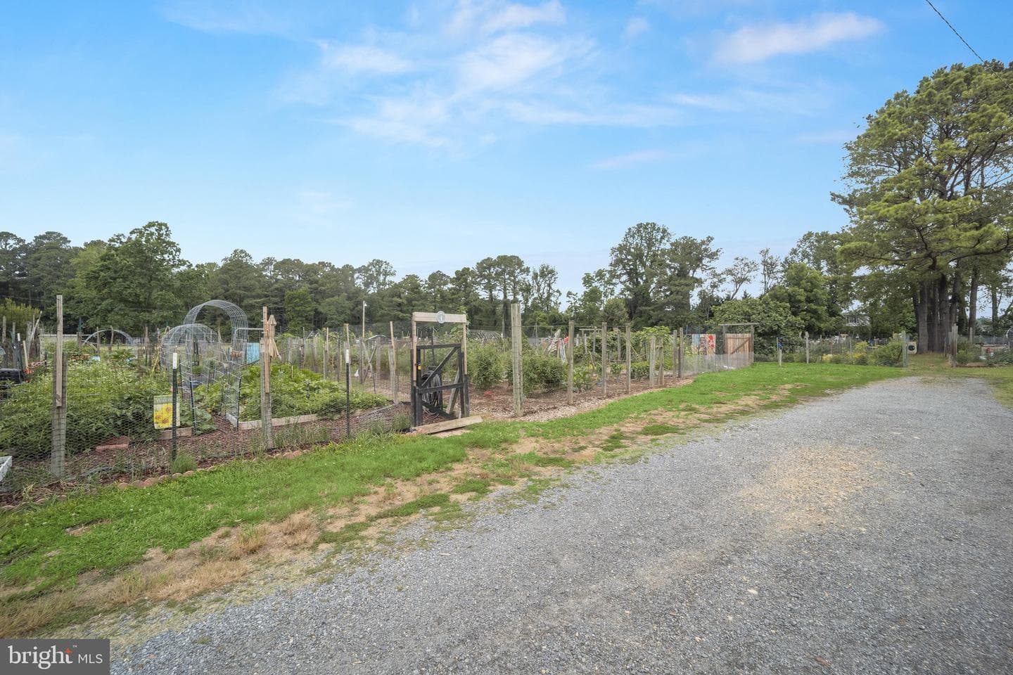12465 Hisperia Road photo 17