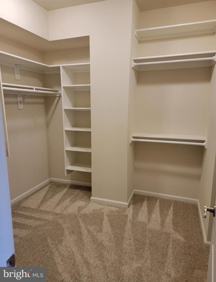 210 Oyster Bay Place #c2 photo 29