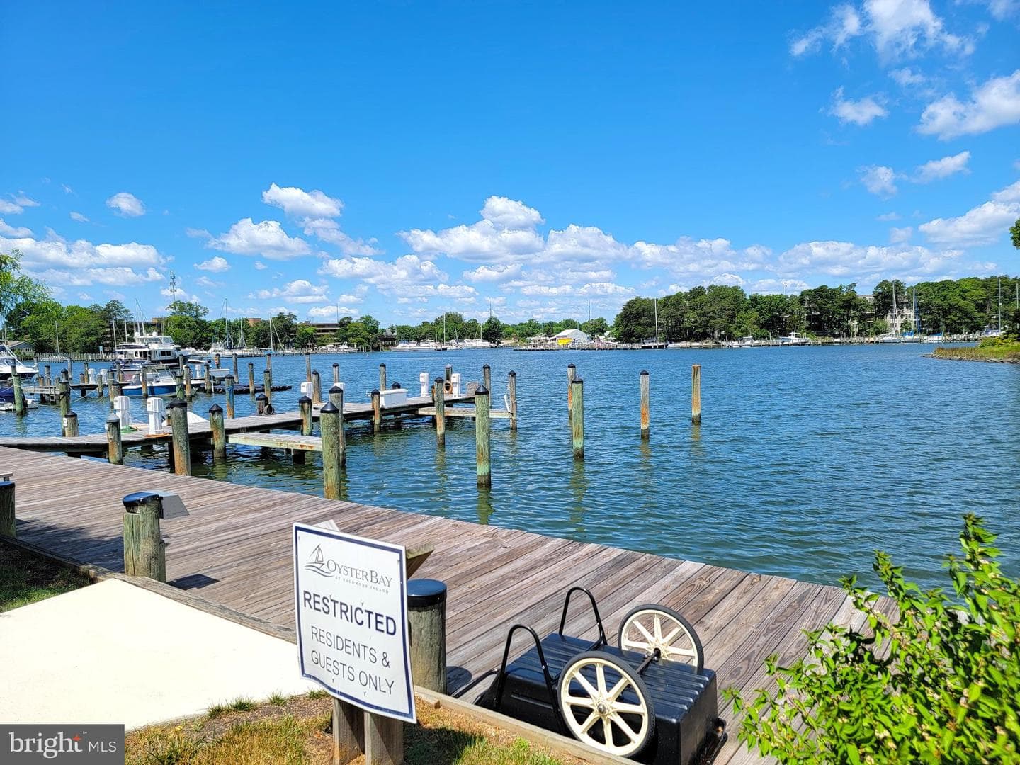 210 Oyster Bay Place #c2 photo 64