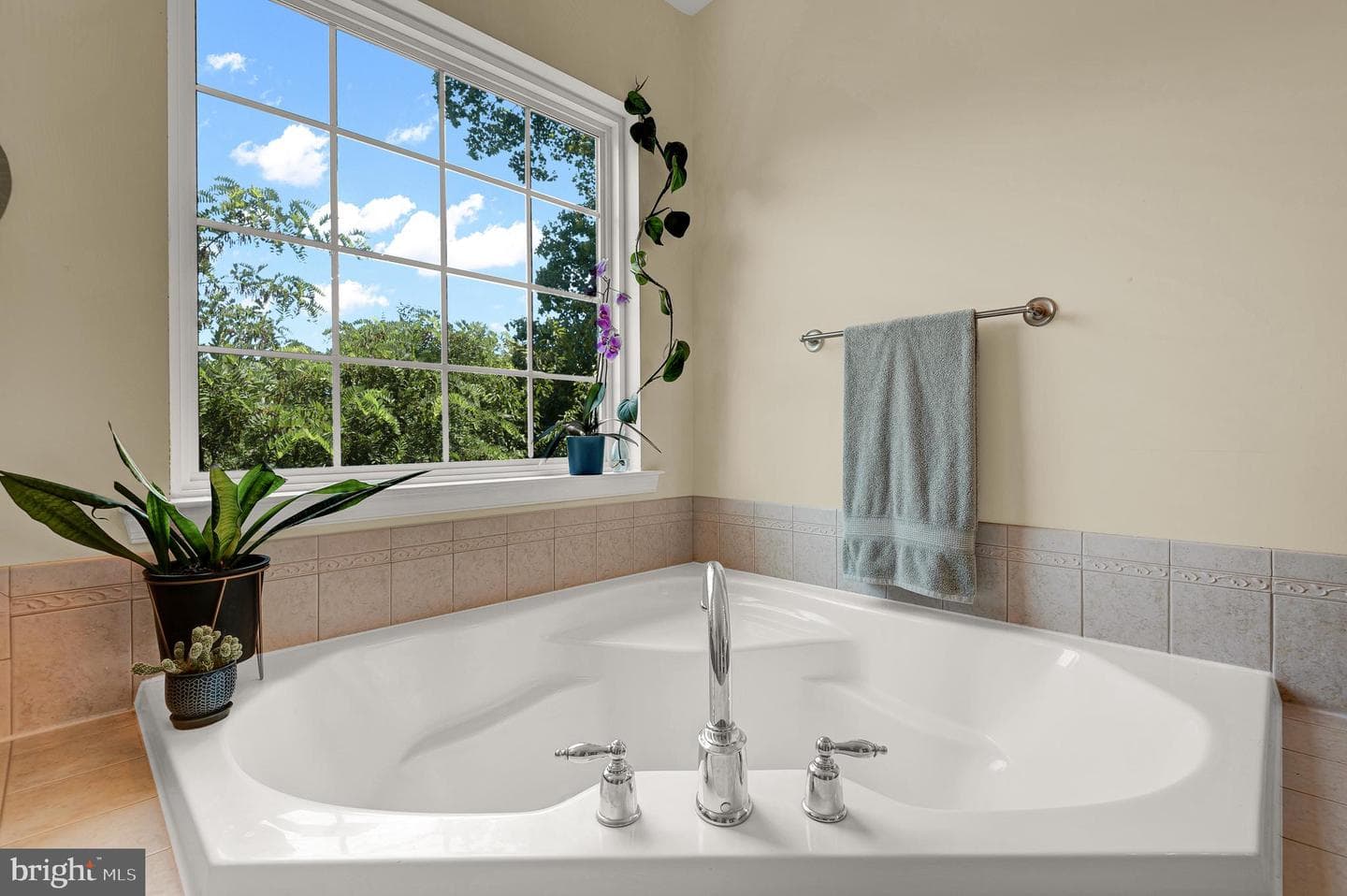 3781 Bedford Drive photo 35