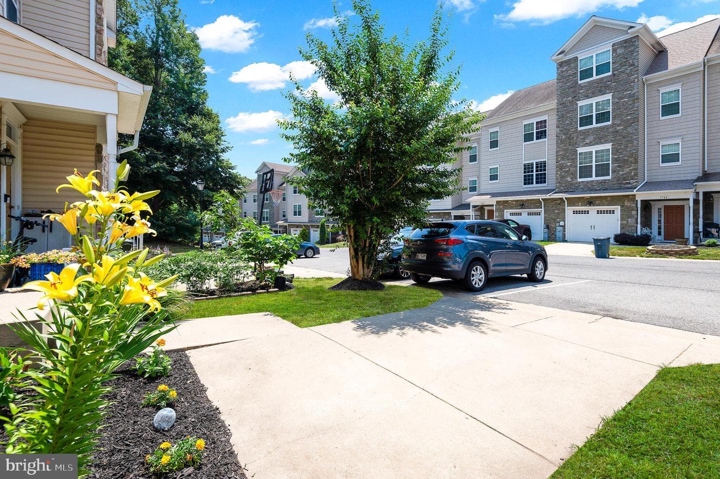 3781 Bedford Drive photo 40