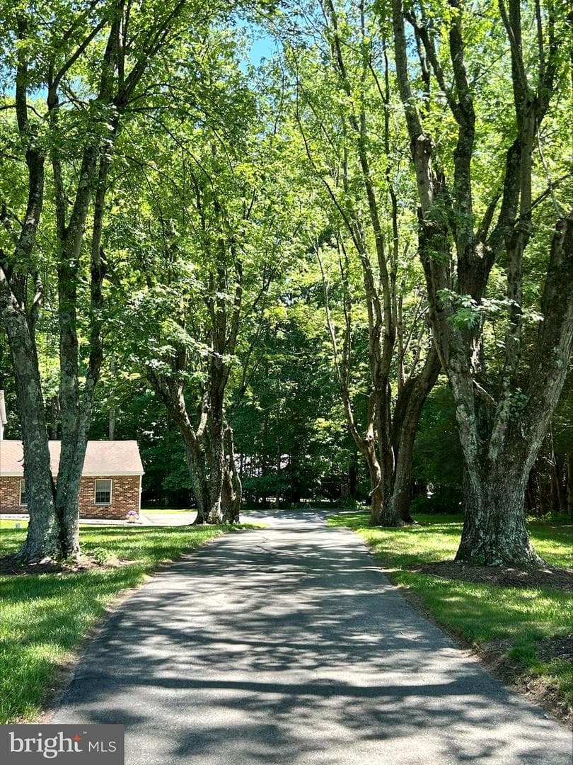 1531 Sunrise Court photo 11