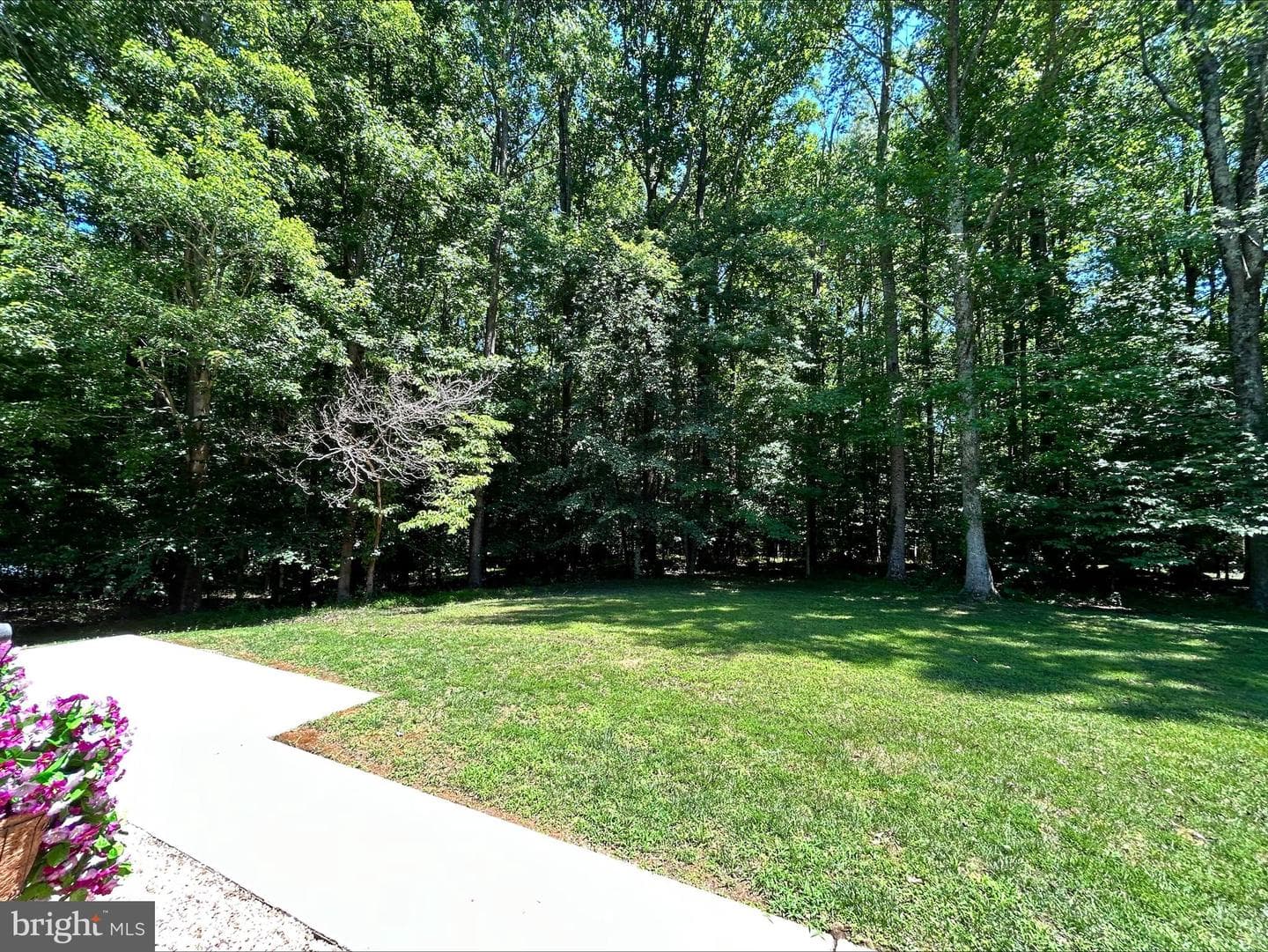 1531 Sunrise Court photo 29