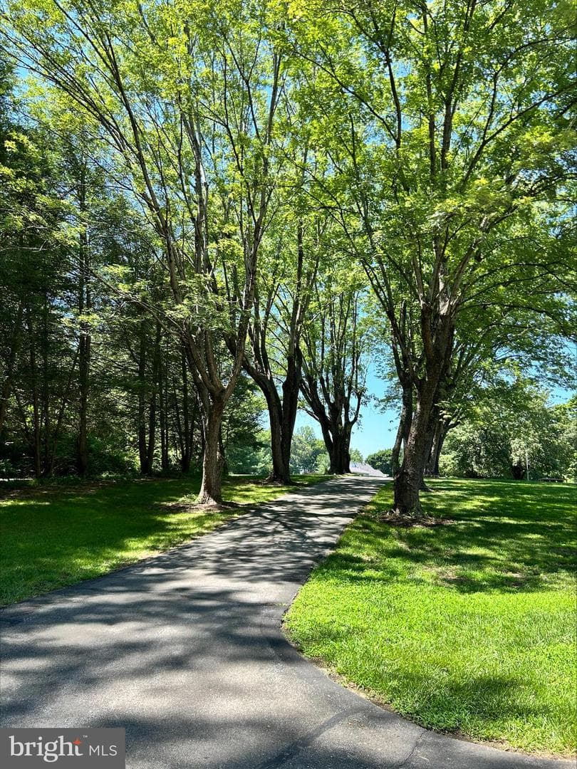 1531 Sunrise Court photo 4