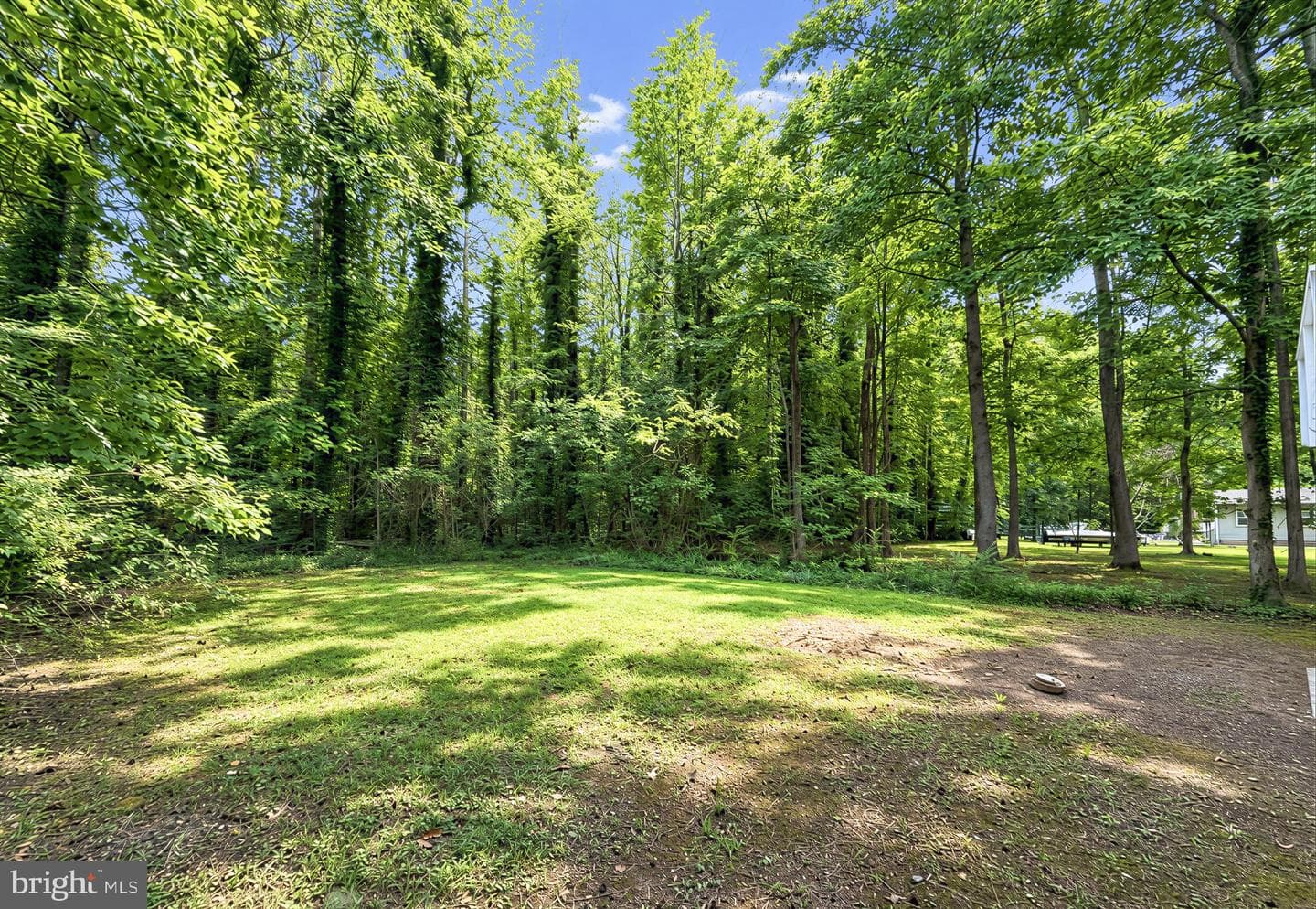 329 Chestnut Drive photo 63