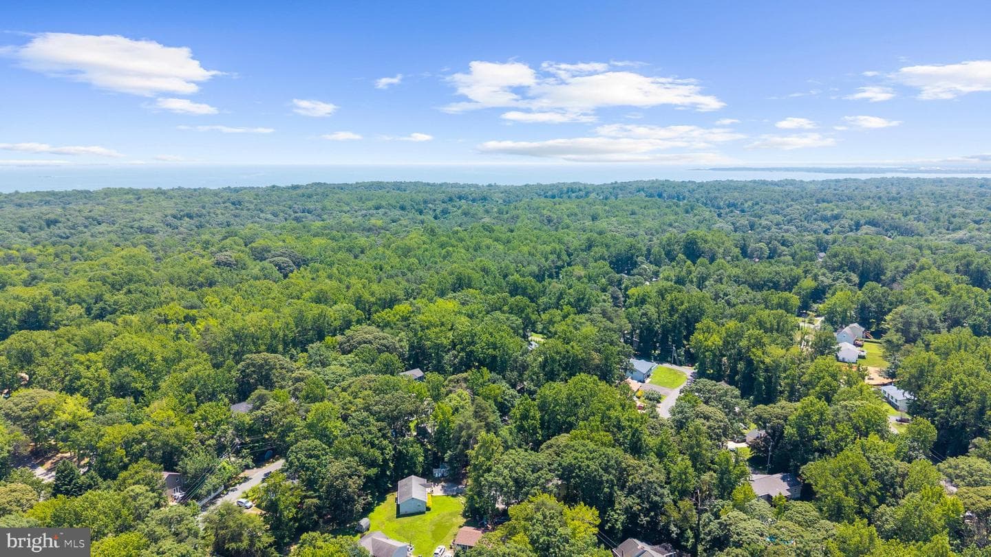 11500 Big Sandy Run Road photo 48