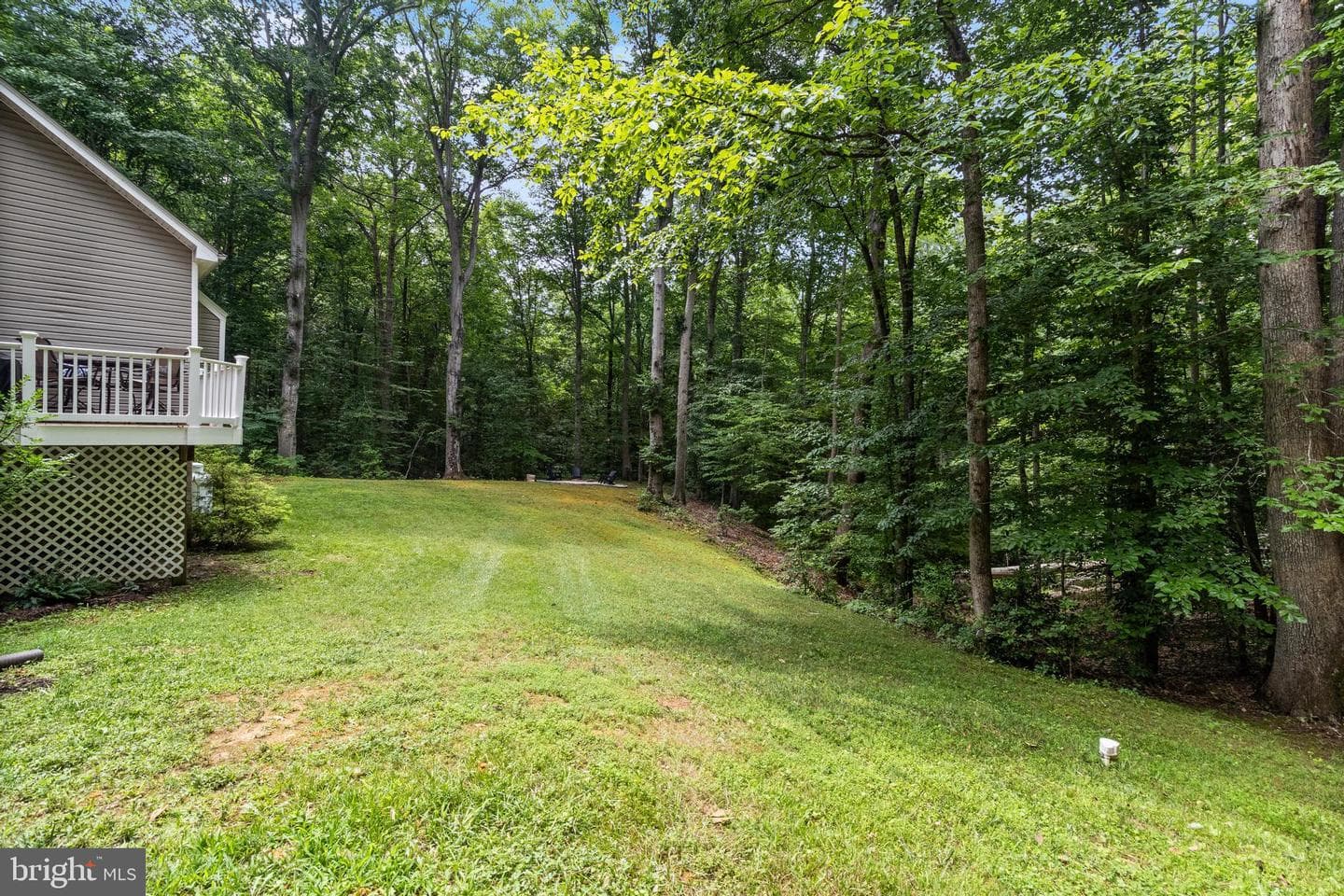 2810 Lady Annes Way photo 32