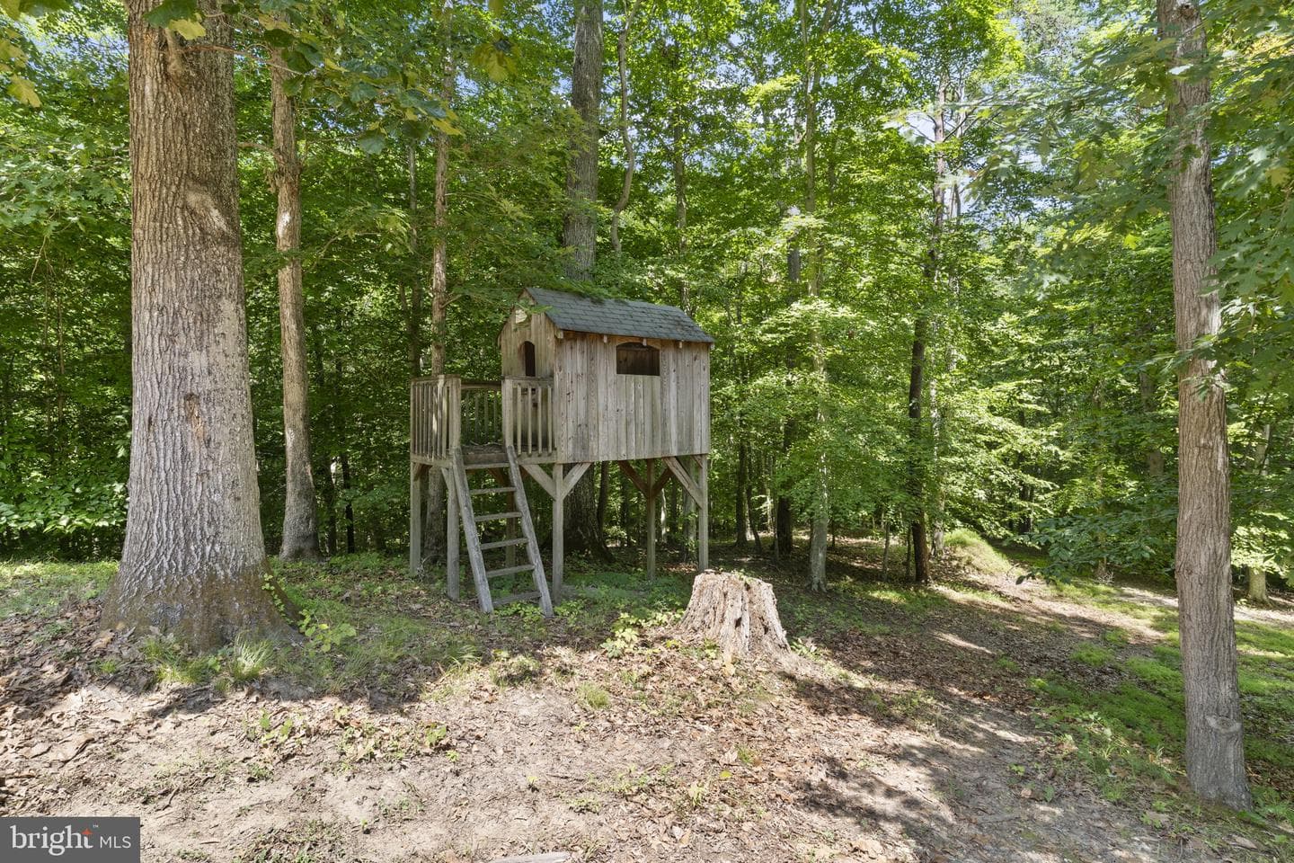 3555 Christiana Court photo 49
