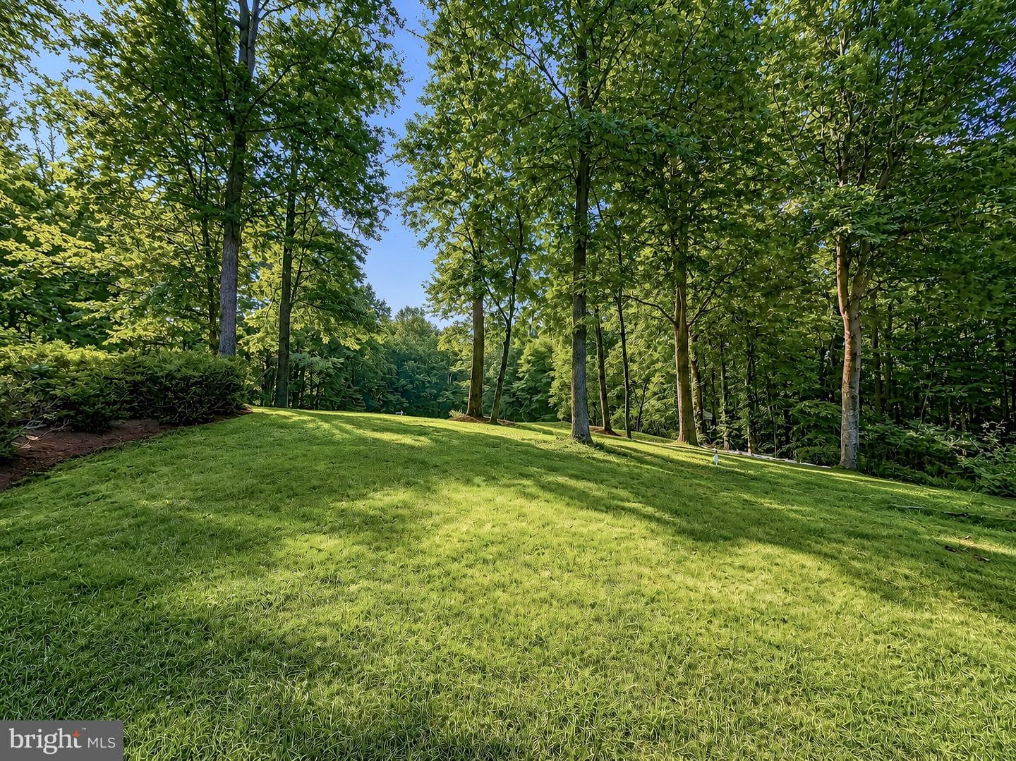 470 Chippingwood Drive photo 59