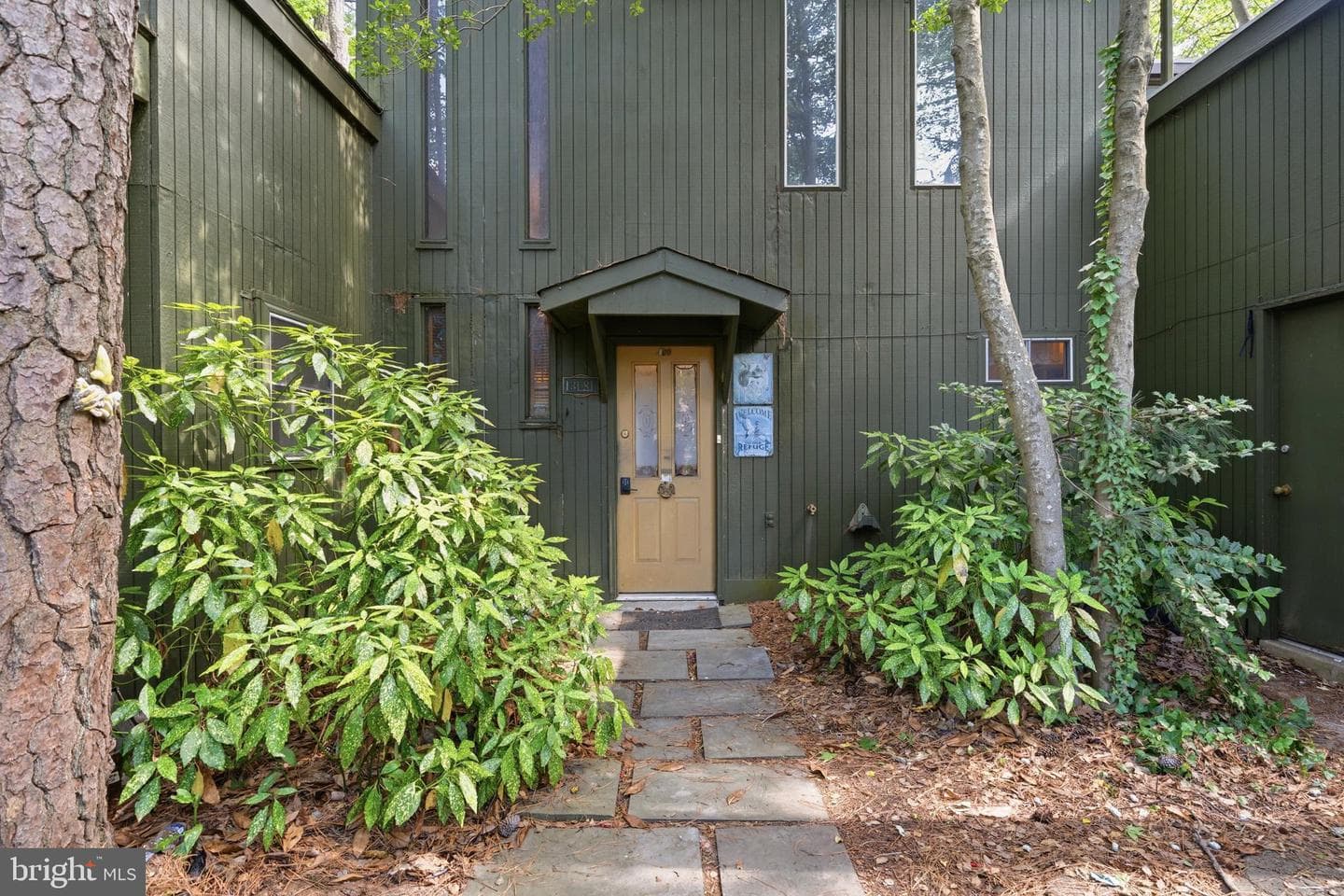 13181 River View Drive photo 5