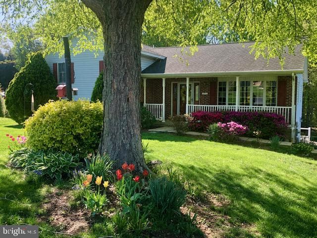 72 Cynthia Court photo 44