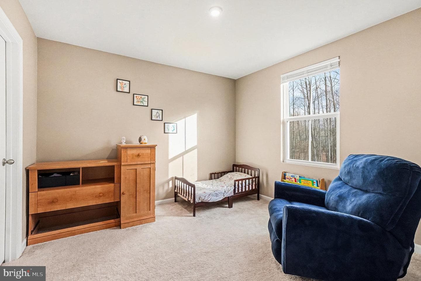 107 Goldspire Drive photo 22