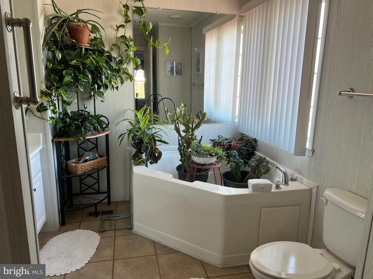 42 Queen Eleanor Drive photo 15