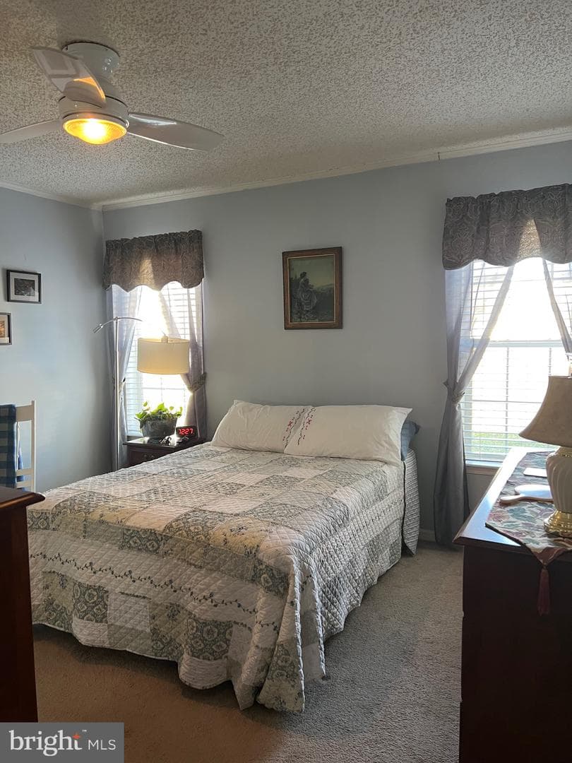 42 Queen Eleanor Drive photo 18