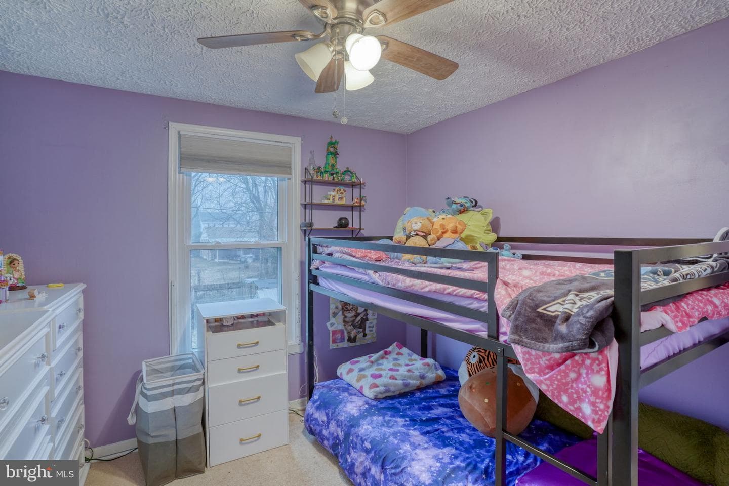 409 Biddle Street photo 23