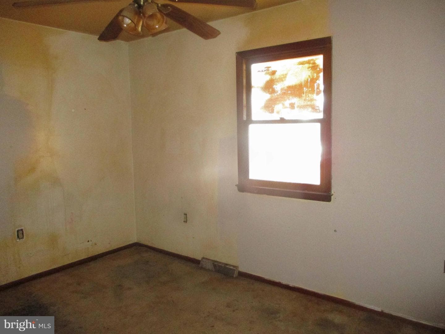 211 Greenwood Street photo 10