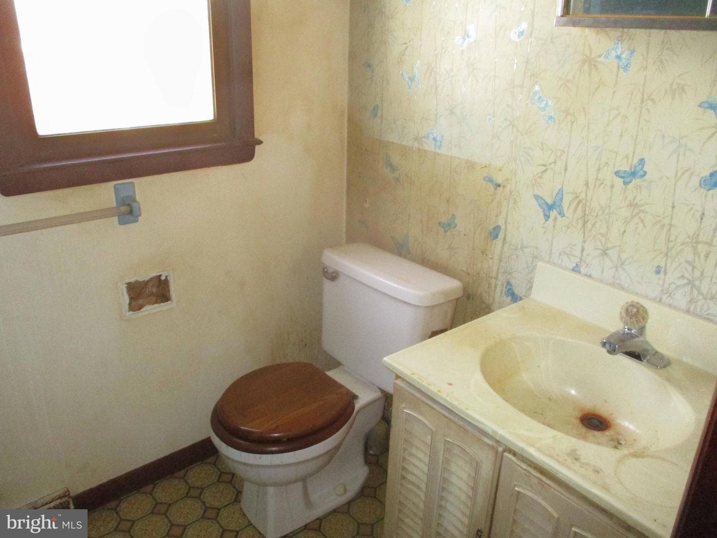 211 Greenwood Street photo 3