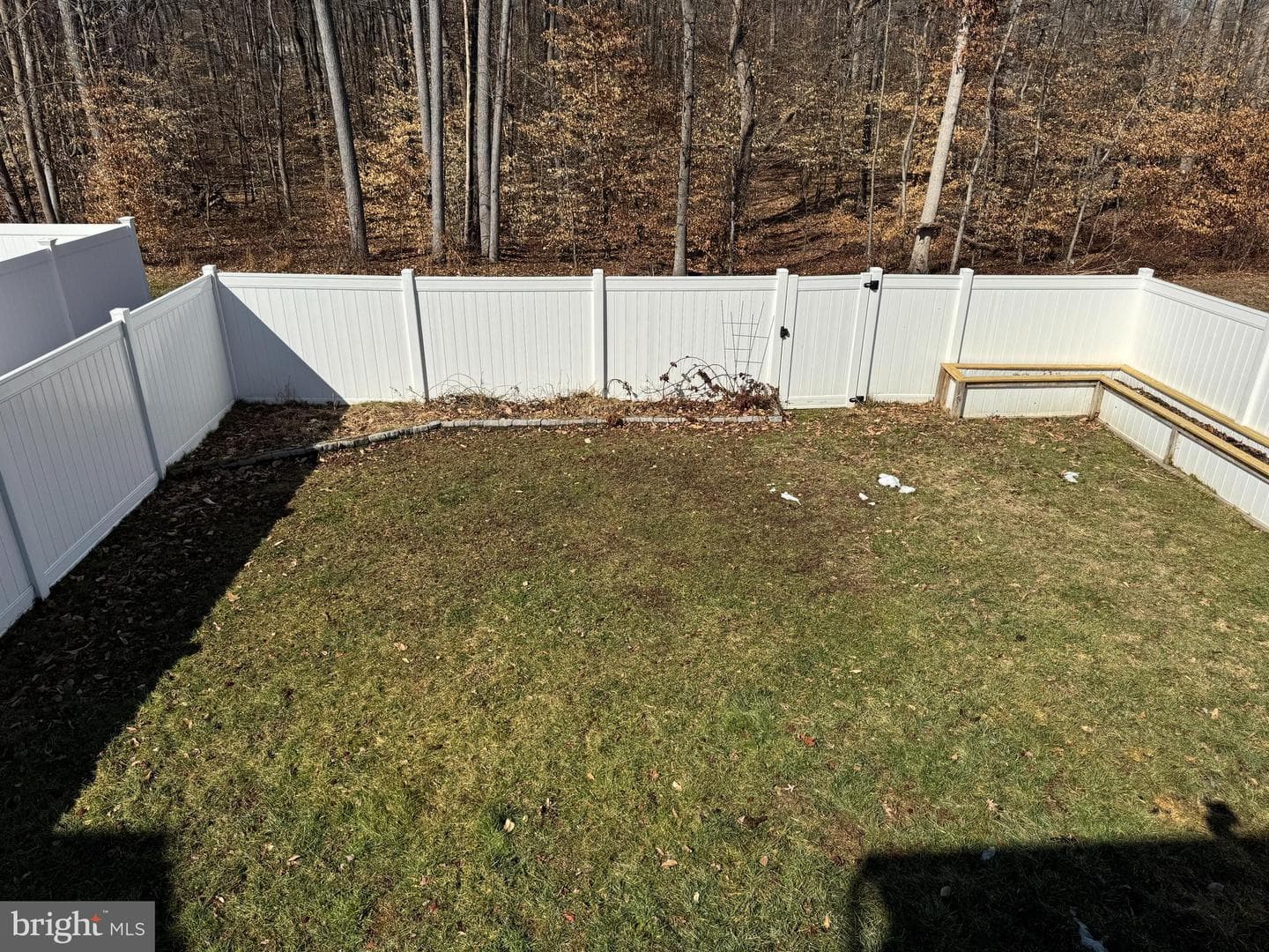 41 Tilia Drive photo 3